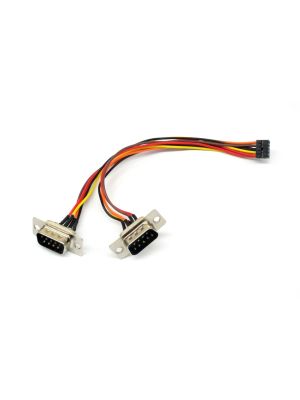 2.0 mm Female 10 Pin to 2 DB9 Connectors - 6inches